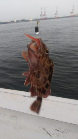 ガッシー&ツバス