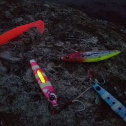 大潮最終日-夕マズメのタチウオジギング