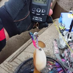 今期の記録更新