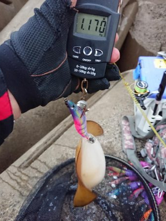 今期の記録更新