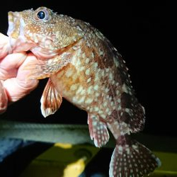 今期の記録更新