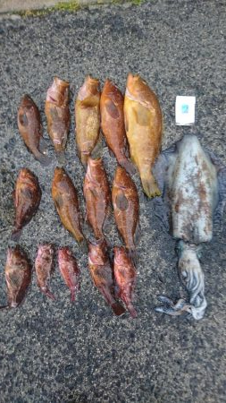 初ロックフィッシュ