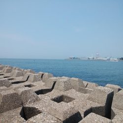 東二見西水道のキス情報