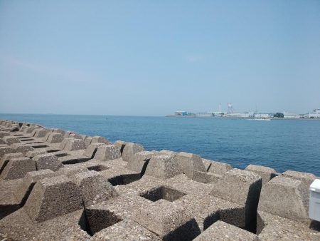 東二見西水道のキス情報