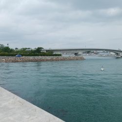 白灯台波止のキス情報