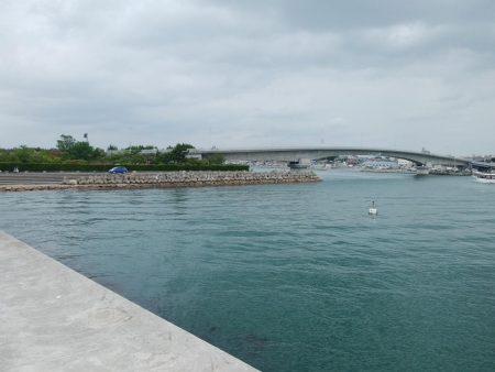 白灯台波止のキス情報