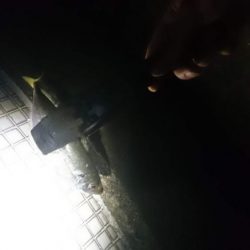 好調！！アジング短時間