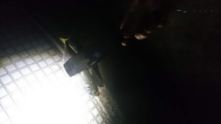 好調！！アジング短時間