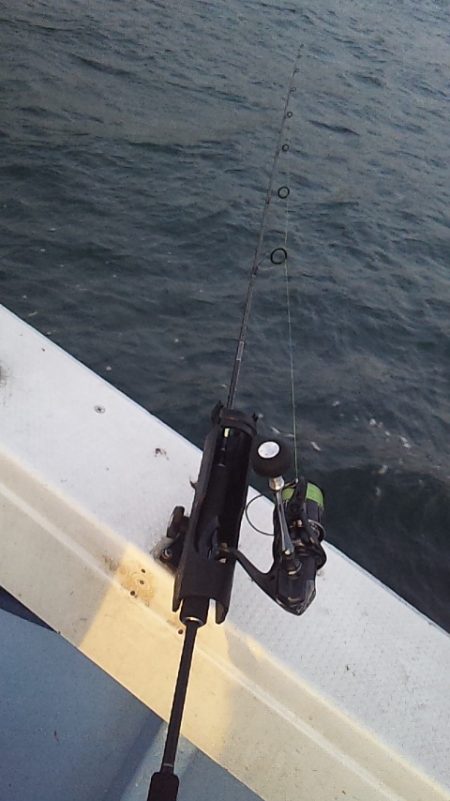 アジよりマダイ