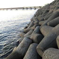 ツバスの口は小さい