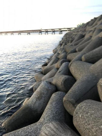 ツバスの口は小さい