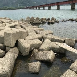 シーバスはどこへ?