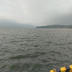 宮津でコウイカ連発!