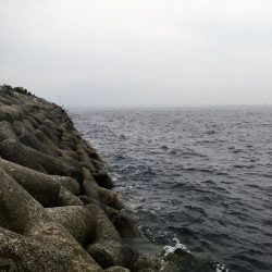 ４目達成～～♪