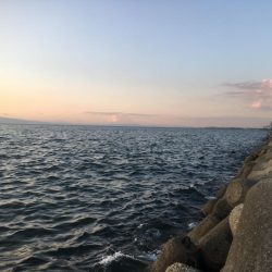 ちょっとだけ♪