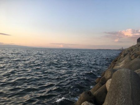 ちょっとだけ♪