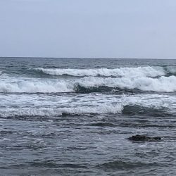 シモリの際から