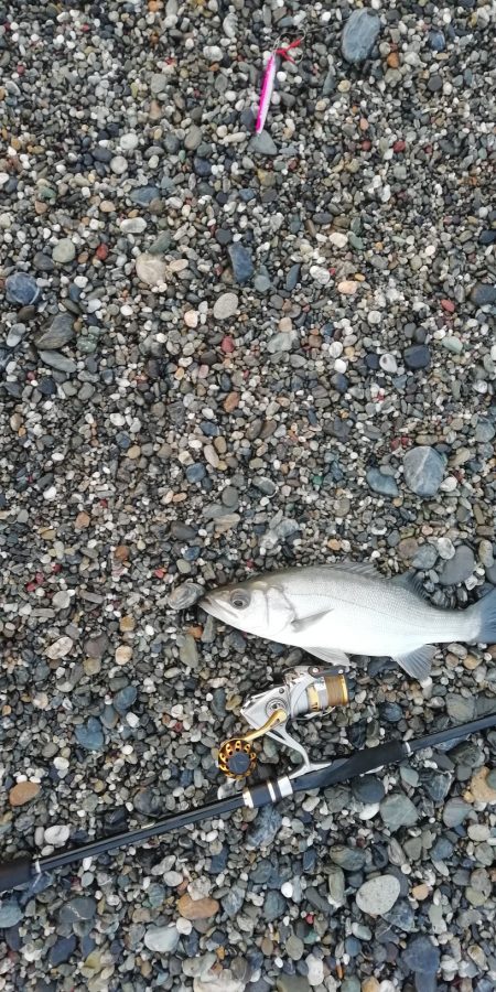 ライトショアジギング