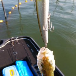 アフタースポーン