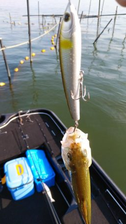 アフタースポーン