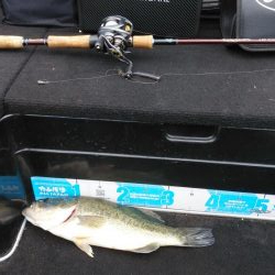 アフタースポーン