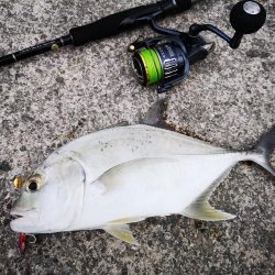 3度目の正直もあり