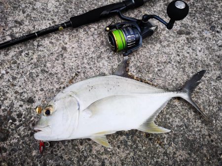 3度目の正直もあり