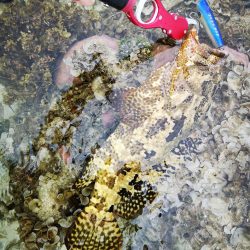 1日頑張りました。