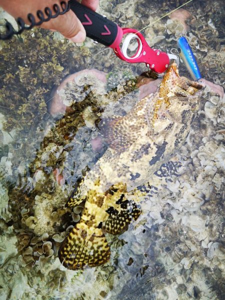 1日頑張りました。