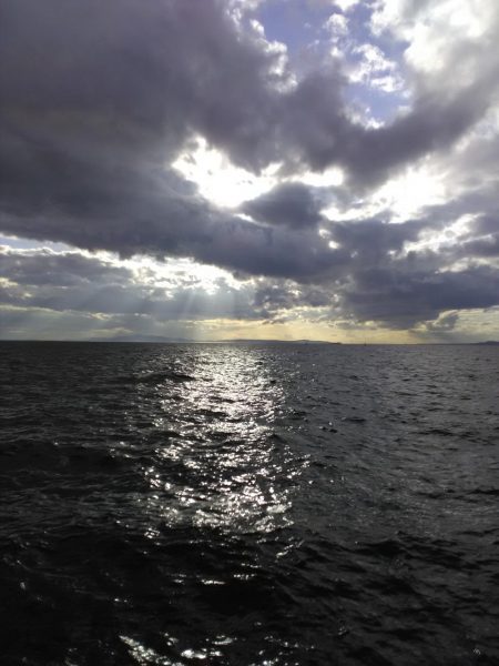 ジグサビキin 貝塚人工島