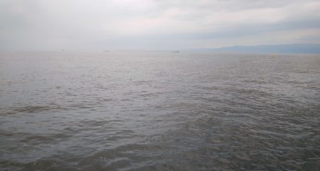 久しぶりに夕方釣行