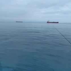 グレかかり釣り