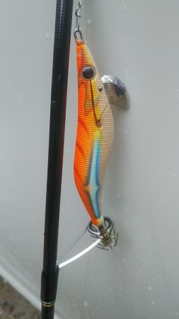 アオリイカ　3杯！