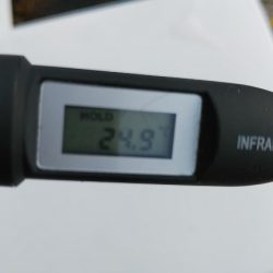 また×3親イカゲット　2杯