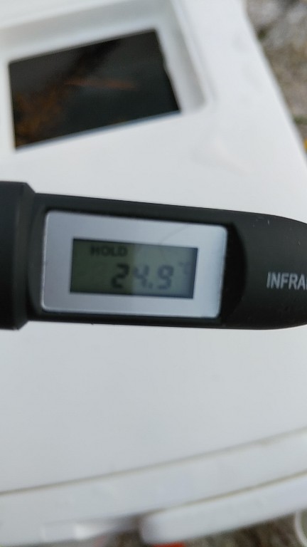 また×3親イカゲット　2杯