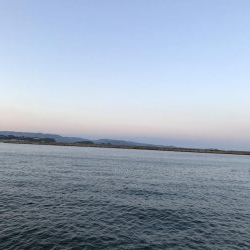 まずまず楽しめる