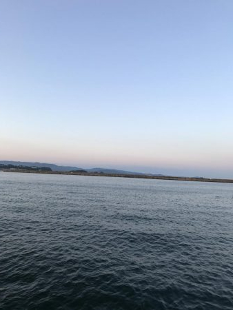 まずまず楽しめる