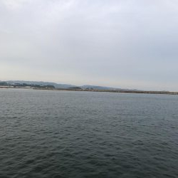 サイズが伸びない