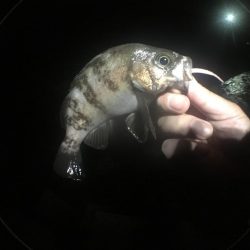 いよいよ最終ラウンド突入ですね。