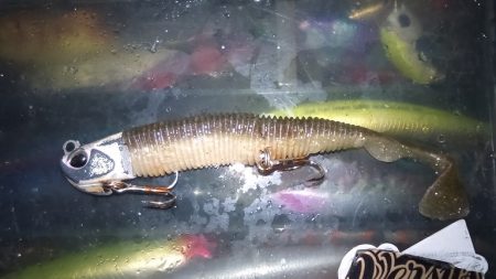 雨風が強い予報だったので太刀魚釣りに変更