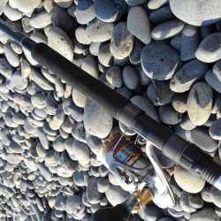 手のひらサイズ(泣)