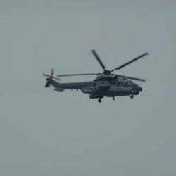 やっと３０ｃｍ超え＾＾；