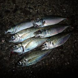 移動して良かった(^^)