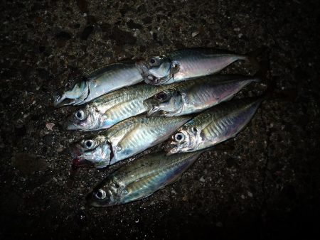 移動して良かった(^^)