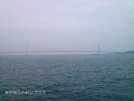 ファミリーでサビキ釣り