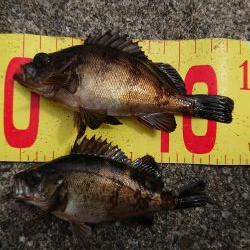 マルチヒット！！