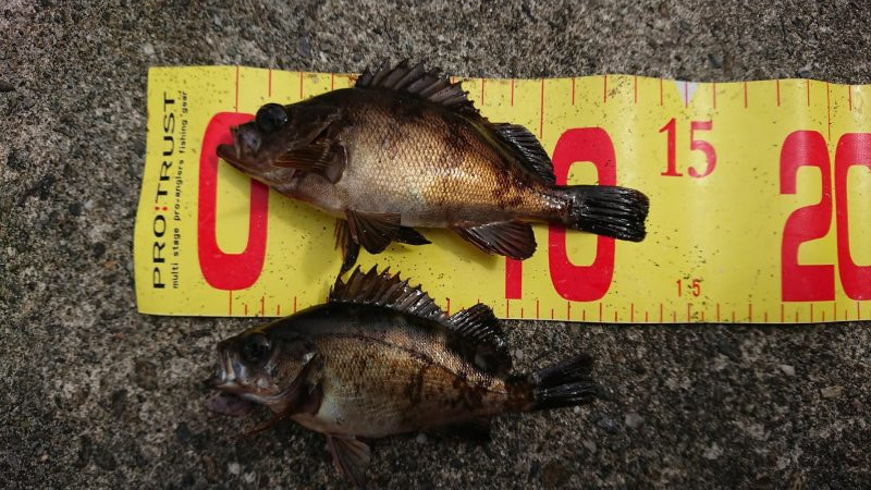 マルチヒット！！