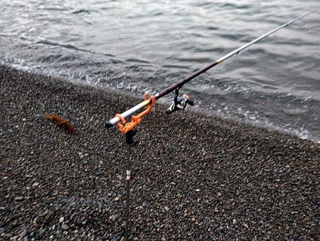 また、凧が釣れました!!