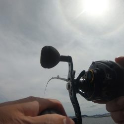 オクトパッシングで2杯