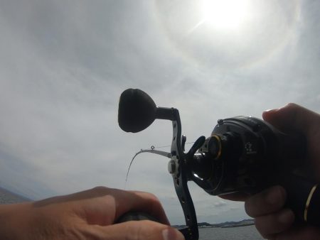 オクトパッシングで2杯